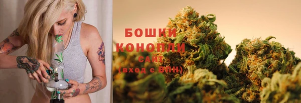 прущие грибы Нефтекумск