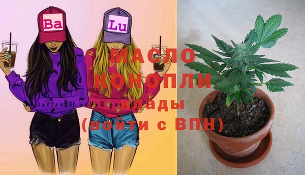 ешки Аркадак