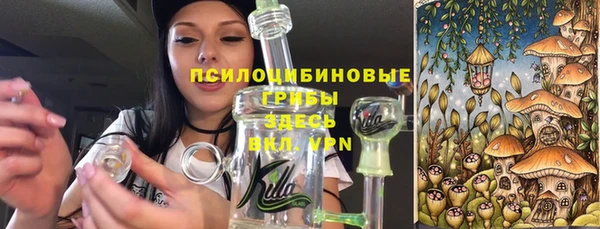 ешки Аркадак