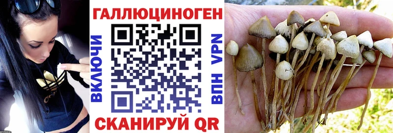 Галлюциногенные грибы прущие грибы  Сураж 